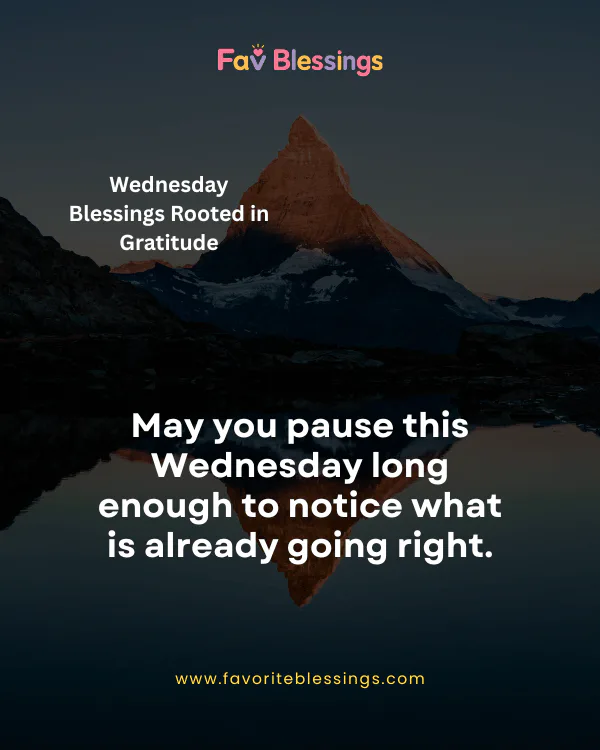 Wednesday Blessings Rooted in Gratitude