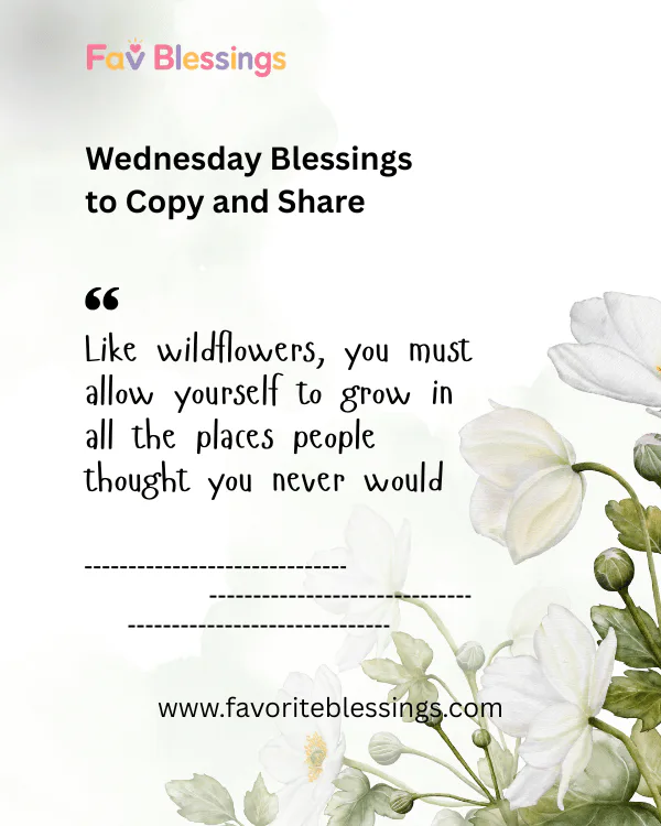 Wednesday Blessings to Copy and Share on WhatsApp and Facebook