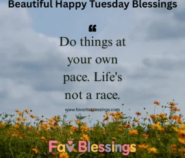 Beautiful happy Tuesday blessings