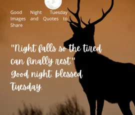 Good Night Tuesday Images and Quotes to Share