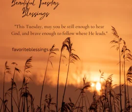 Spiritual and Beautiful Tuesday Blessings