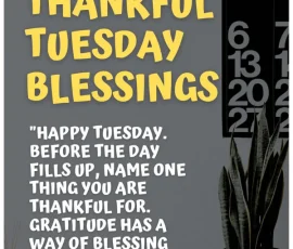 Thankful Tuesday Blessings