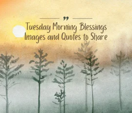 Tuesday Morning Blessings Images and Quotes to Share