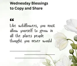 Wednesday Blessings to Copy and Share on WhatsApp and Facebook